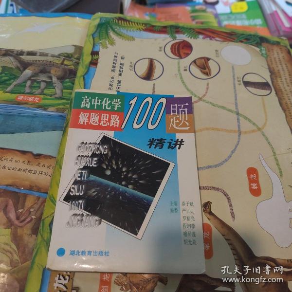 高中化学解题思路100题精讲