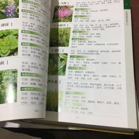 800种中草药彩色图鉴（白金珍藏版）