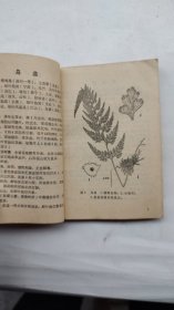 浙江民间常用草药