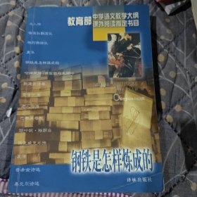 钢铁是怎样炼成的