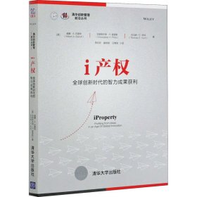 i产权：全球创新时代的智力成果获利（清华创新管理前沿丛书）