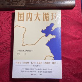 国内大循环(何毅亭、黄奇帆、孔丹、迟福林、姚洋、黄群慧等撰文)