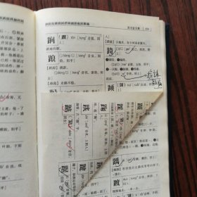 吴川音字典（普通话吴川话对照）