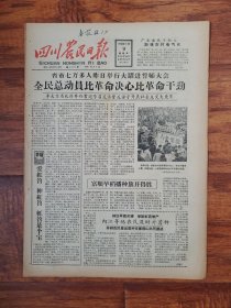 四川农民日报1958.3.9