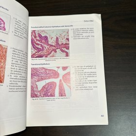 Inderbir Singh‘s Textbook of HUMAN HISTOLOGY