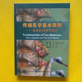 疼痛医学基本原则——患者的诊断与治疗（精装）全新未拆包装