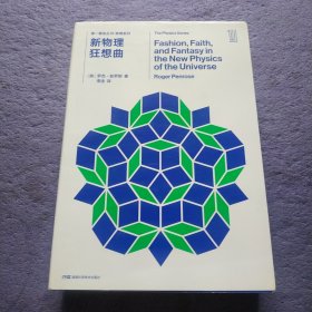 第一推动丛书 物理系列：新物理狂想曲