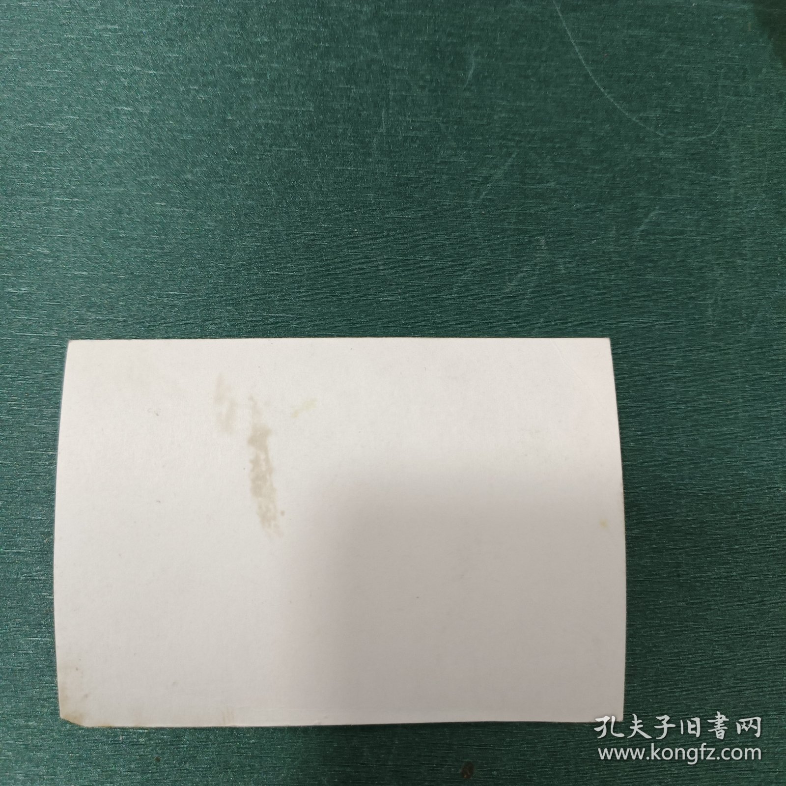 黑白歌片 蜗牛与黄鹂鸟