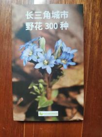 长三角城市野花300种