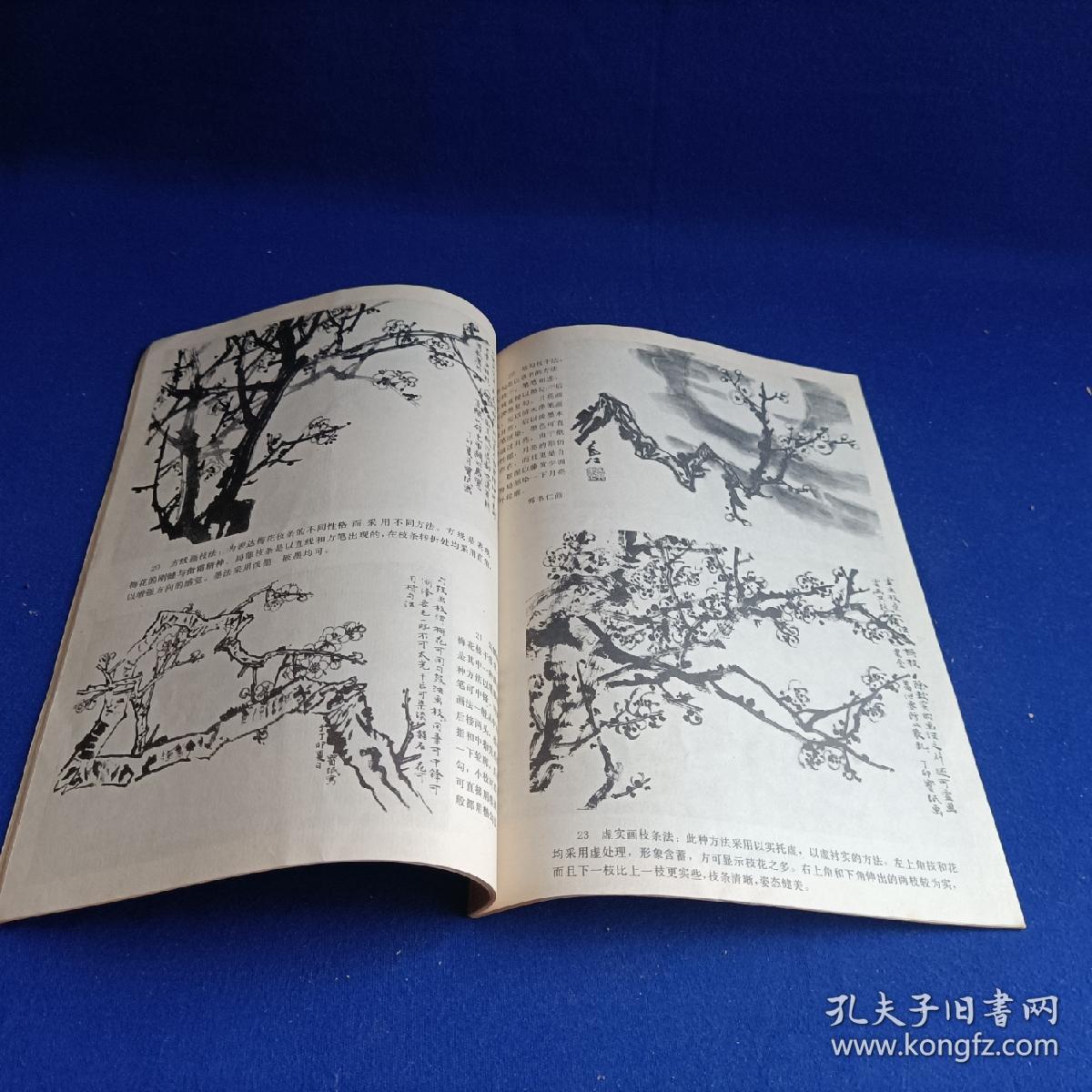 中国画自学丛书 怎样画梅花