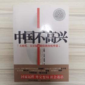 中国不高兴——大时代、大目标及我们的内忧外患