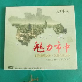 天下泉城·魅力市中百年商阜之地优雅白鹭之乡DVD