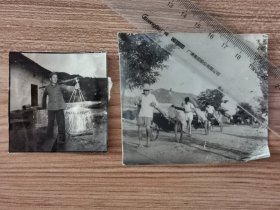 1965安徽农村，买种子，社员买化肥老照片两种