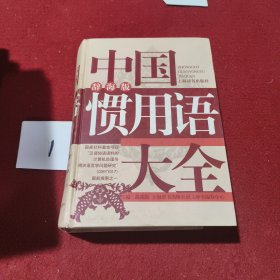 中国惯用语大全（辞海版）