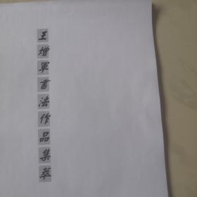 王增军隶书作品集精萃 （实物上图）