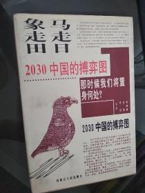 马走日.象走田-2030中国的搏弈图