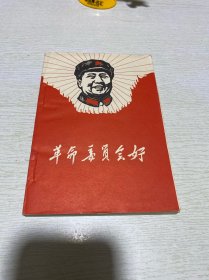 革命委员会好（1968年）