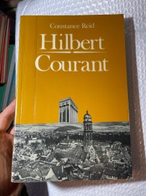 现货  英文版 Hilbert Courant  希尔伯特和柯朗