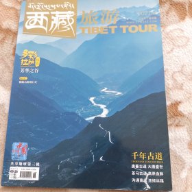 唐蕃古道大唐盛世，茶马古道高原血脉 千年古道，西藏旅游咋咋2021年6期