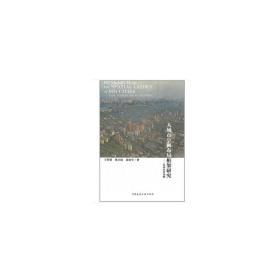 大城市空间布局框架研究——以武汉市为例❤ 王智勇 中国建筑工业出版社9787112241095✔正版全新图书籍Book❤