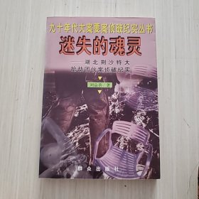 迷失的魂灵--湖北荆沙特大抢劫团伙案侦破纪实