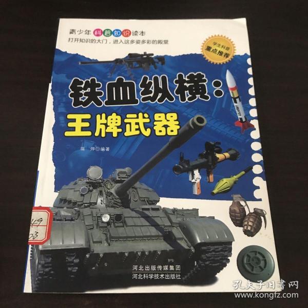 铁血纵横 : 王牌武器