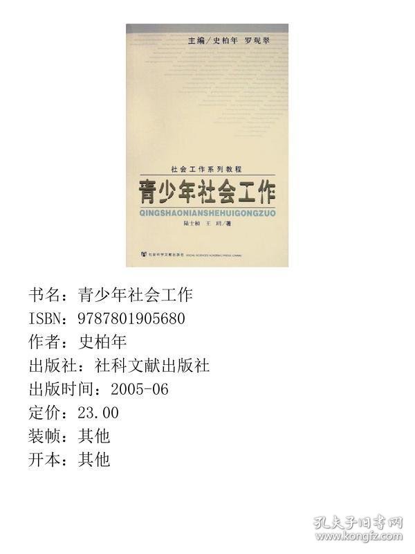 青少年社会工作社会工作系列教程陆士桢王玥社会科学文9787801905680