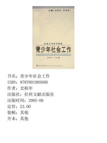 青少年社会工作社会工作系列教程陆士桢王玥社会科学文9787801905680