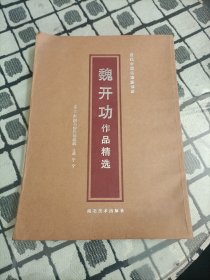 魏开功作品精选