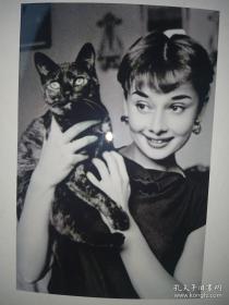 奥黛丽赫本与小猫 照片