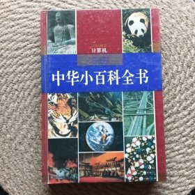 中华小百科全书计算机卷