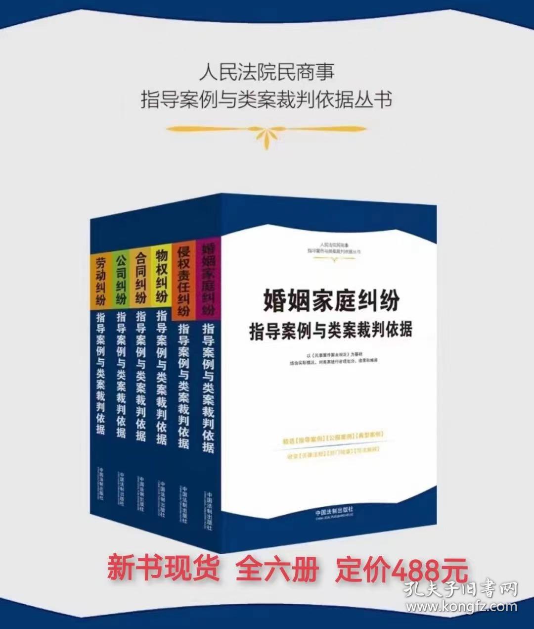 人民法院民商事指导案例与类案裁判依据丛书