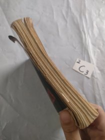 敌后武工队