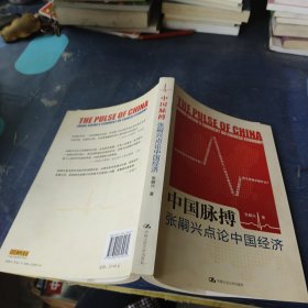 中国脉搏：张嗣兴点论中国经济