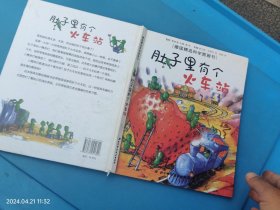 肚子里有个火车站：德国精选科学图画书