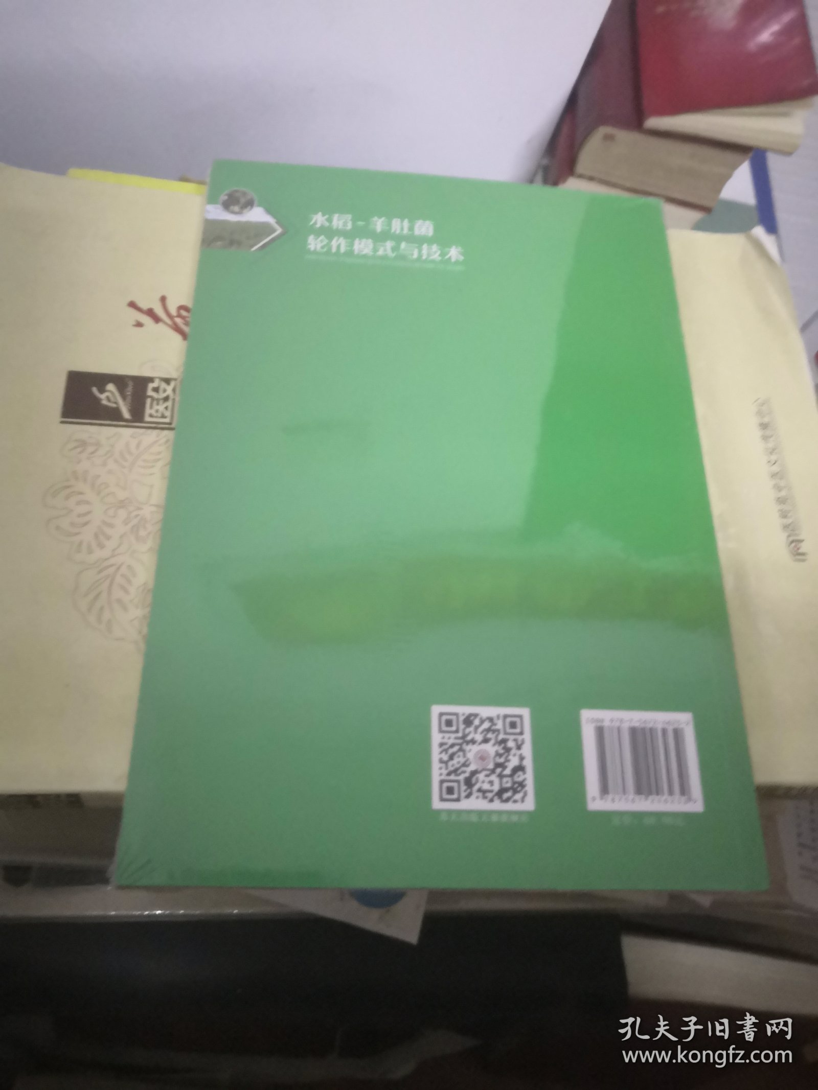 水稻-羊肚菌轮作模式与技术