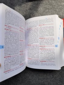 成语大词典（彩色本 最新修订版）