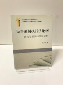 民事强制执行法论纲）理论与制度的深层分析