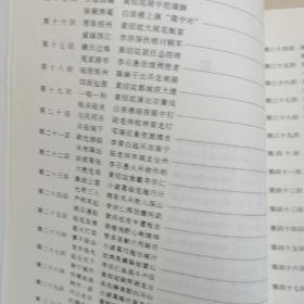 桂系演义