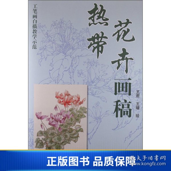 工笔画白描教学示范：热带花卉画稿