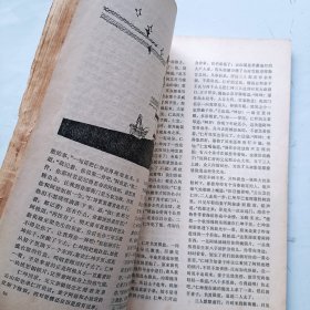 历史文学 创刊号