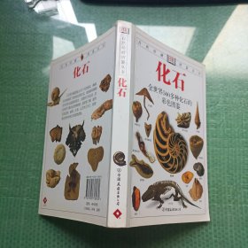 化石：全世界500多种化石的彩色图鉴