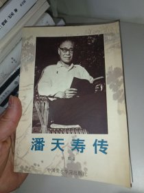 潘天寿传