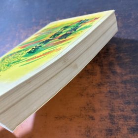 毕淑敏作品精选