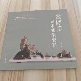 太湖石山水盆景赏析