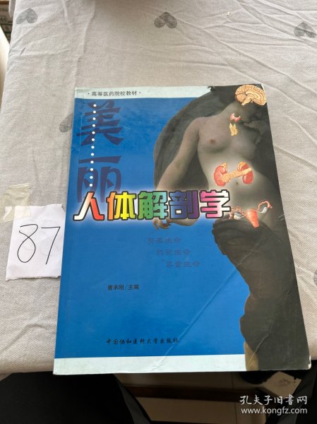 美丽人体解剖学