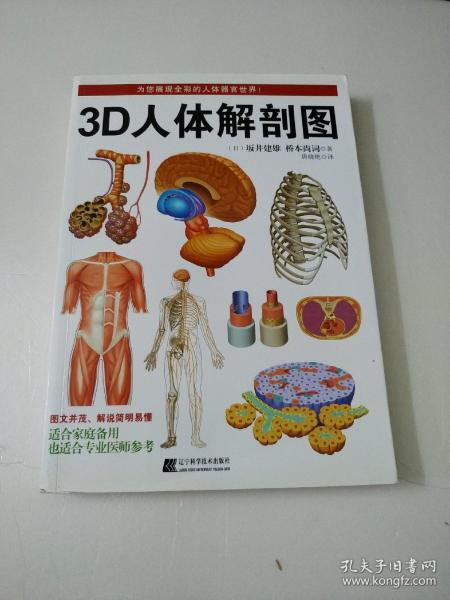 3D人体解剖图