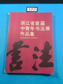 浙江省首届中青年书法展作品集