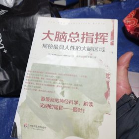 大脑总指挥：揭秘最具人性的大脑区域