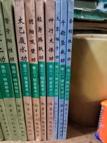 功家秘法宝藏 [共四卷，17本，缺第一卷(3本)，卖的只有卷二(3本)，卷三(4本)，卷四(7本)共计14本合售]